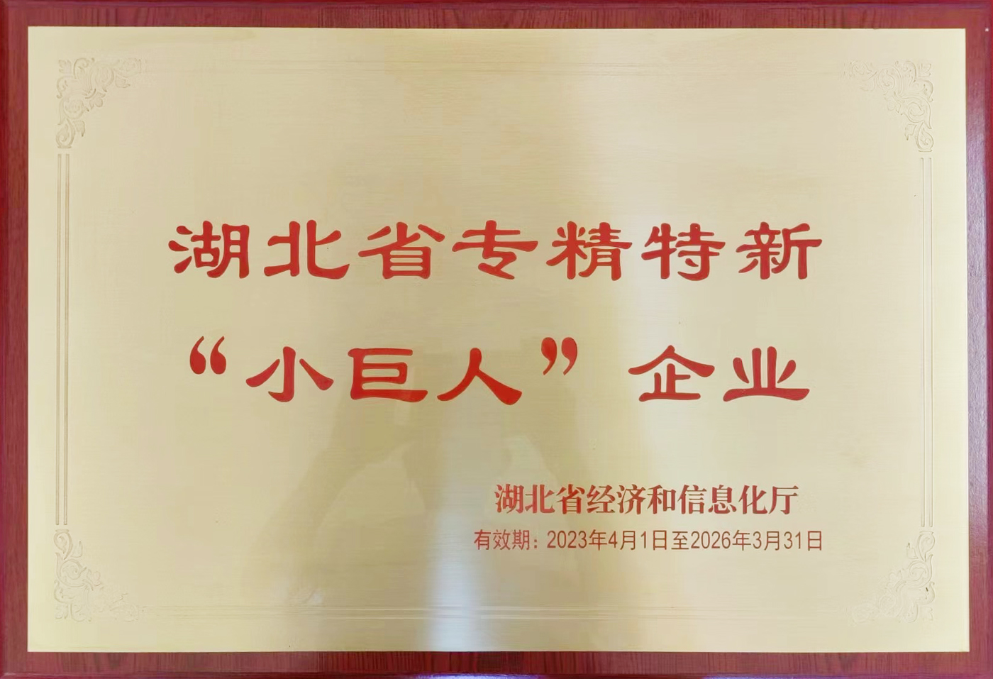 湖北省专精特新“小巨人”企业
